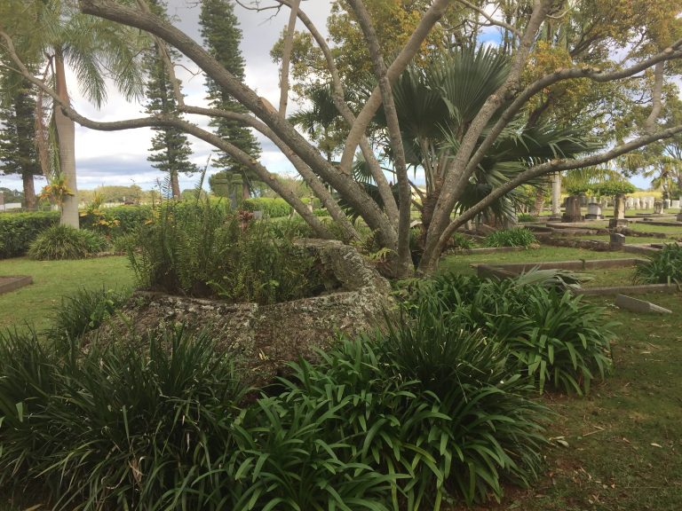 The Families of Makawao Cemetery Makawao Cemetery